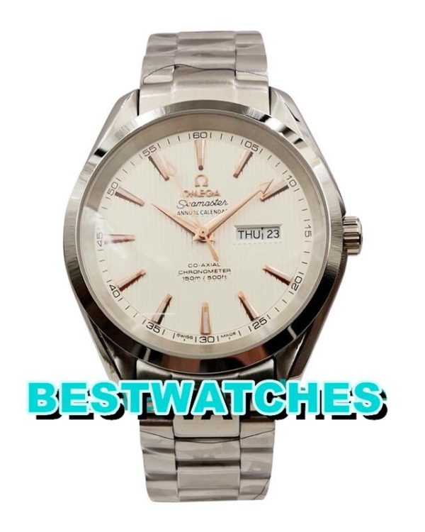 Replica Omega Seamaster Aqua Terra 150M 231.10.39.22.02.001 - 41 MM
