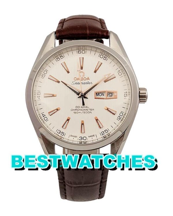 Replica Omega Seamaster Aqua Terra 231.13.43.22.02.002 - 40 MM