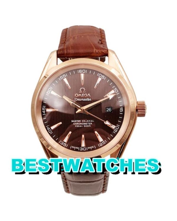 Replica Omega Seamaster Aqua Terra 231.53.39.21.06.001 - 42 MM