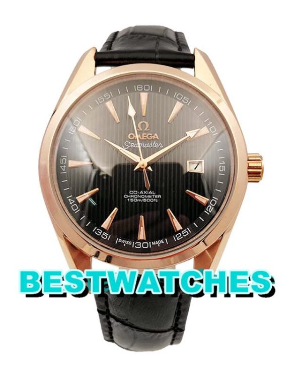 Replica Omega Seamaster Aqua Terra 231.53.42.21.06.002 - 40 MM